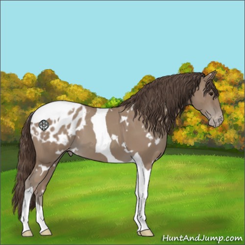 Horse Color:White Spotted Classic Champagne Tobiano Appaloosa 