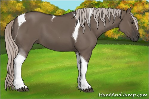 Horse Color:Silver Grullo Tobiano