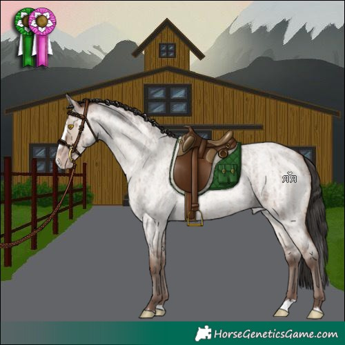 Horse Color:Sable Champagne Roan Dun Splash Brindle 