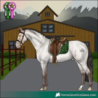 Horse Color:Sable Champagne Roan Dun Splash Brindle 