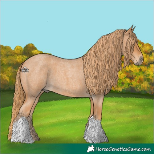 Horse Color:Red Roan Tobiano 