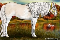 Horse Color:White Spotted Silver Buckskin Pearl 