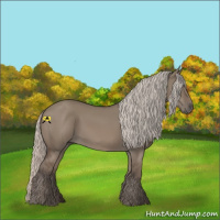 Horse Color:Silver Grullo 