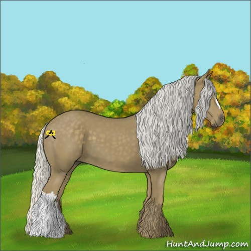 Horse Color:Silver Smoky Black 