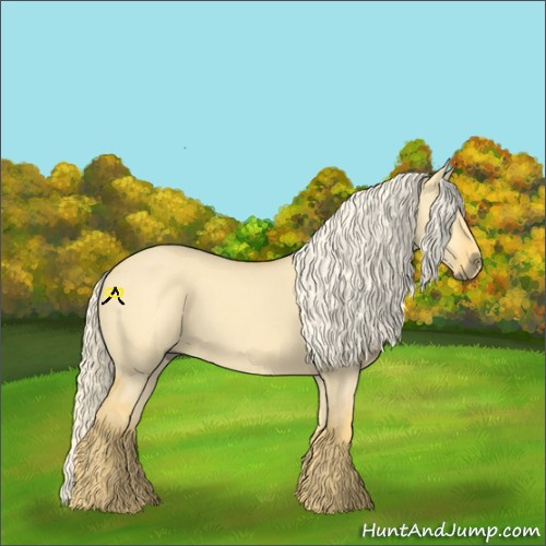 Horse Color:Palomino Dun 