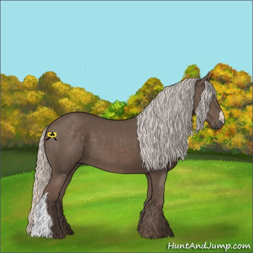 Horse Color:Silver Black