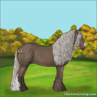 Horse Color:Silver Black 