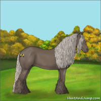 Horse Color:Silver Black 