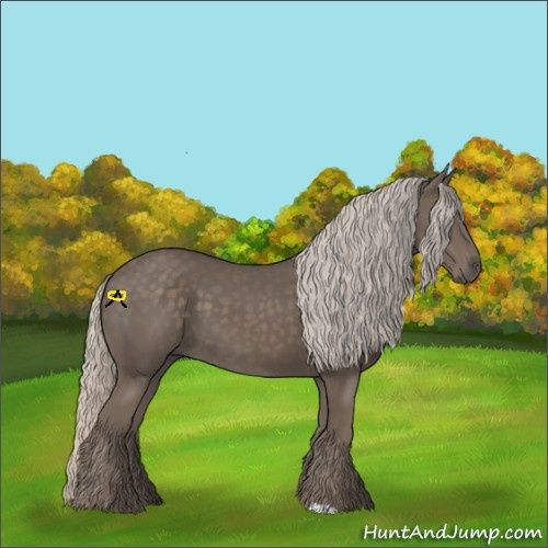Horse Color:Silver Black