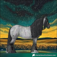 Horse Color:Midnight Brown Chinchilla Roan Onyx 