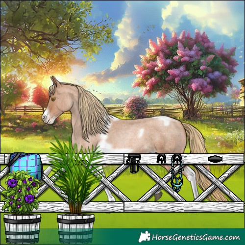 Horse Color:Red Roan Pearl Tobiano Frame