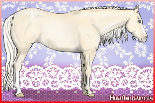 Horse Color:Silver Buckskin Pearl
