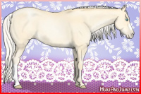Horse Color:Silver Buckskin Pearl 