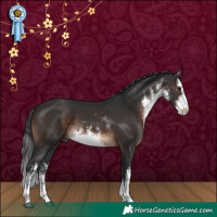 Horse Color:White Spotted Brown 