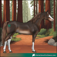 Horse Color:White Spotted Liver Chestnut 