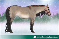 Horse Color:White Spotted Brown Dun 