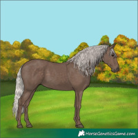 Horse Color:Silver Black 