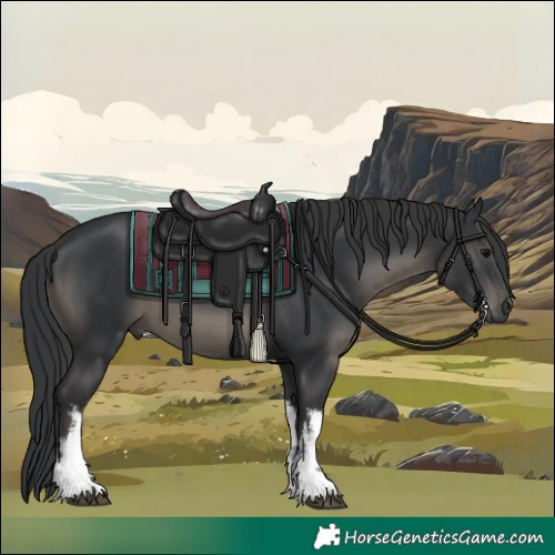 Horse Color:White Spotted Black 