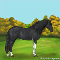 Horse Color:Black Tobiano Rabicano 