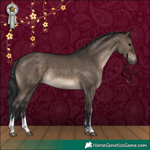 Horse Color:White Spotted Brown Dun 