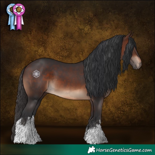 Horse Color:White Spotted Brown 