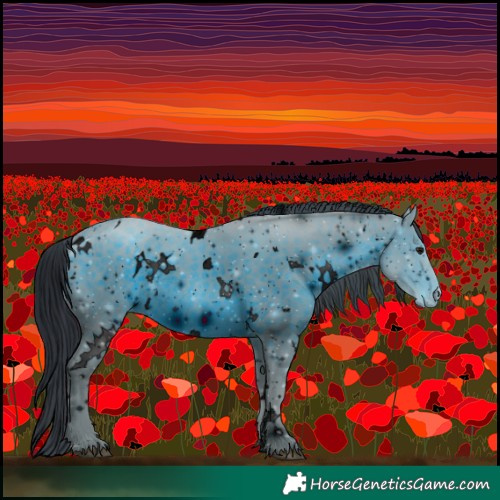 Horse Color:ERROR: UNKNOWN ANOMALY