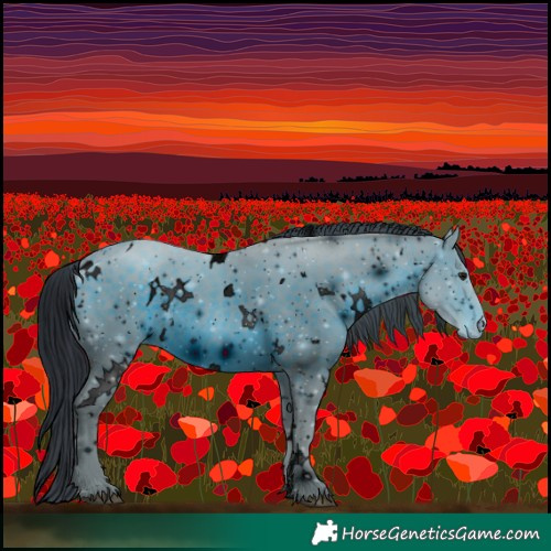 Horse Color:ERROR: UNKNOWN ANOMALY