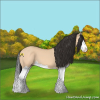 Horse Color:Bay Dun Splash 