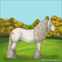 Horse Color:Smoky Creme Dun Splash 