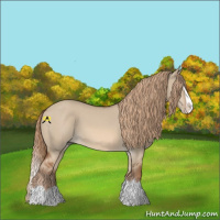 Horse Color:Red Dun Splash 
