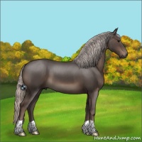 Horse Color:Silver Black 