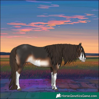 Horse Color:White Spotted Liver Chestnut