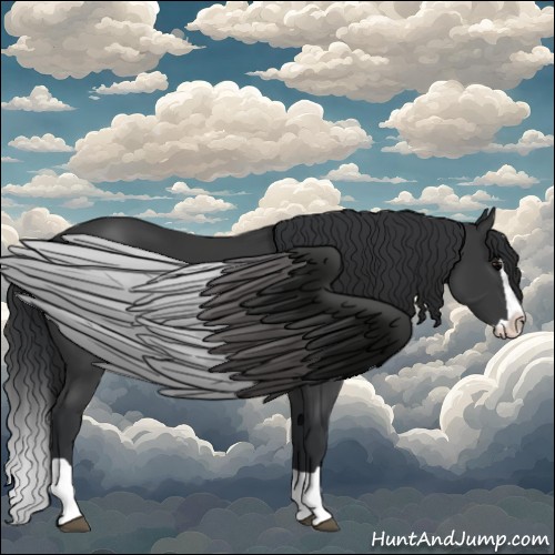 Horse Color:Black Splash