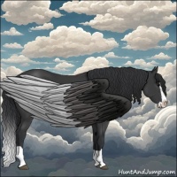 Horse Color:Black Splash