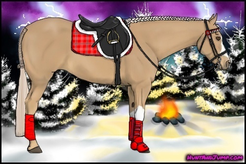 Horse Color:Palomino