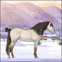 Horse Color:Amber Champagne Dun 