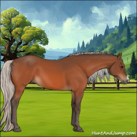 Horse Color:Silver Bay 