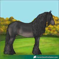 Horse Color:White Spotted Black