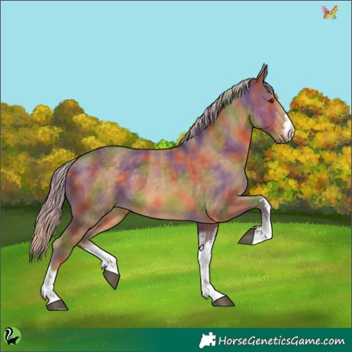 Horse Color:Nacre White Spotted Chocolate Palomino 