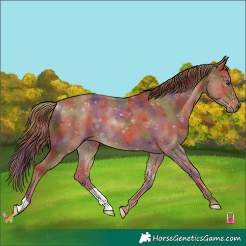 Horse Color:Nacre Chestnut 
