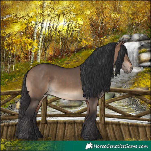 Horse Color:White Spotted Bay Dun