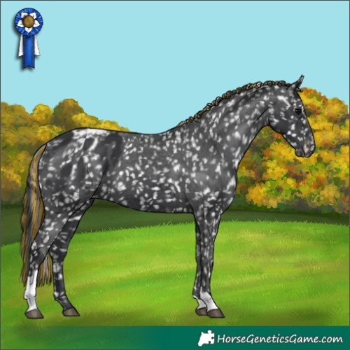 Horse Color:Painted Black Tobiano Appaloosa 