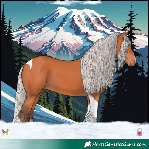 Horse Color:Silver Bay Tobiano 