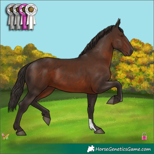 Horse Color:Liver Chestnut 