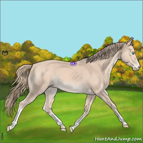 Horse Color:White Spotted Perlino