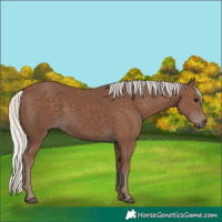 Horse Color:Silver Black 
