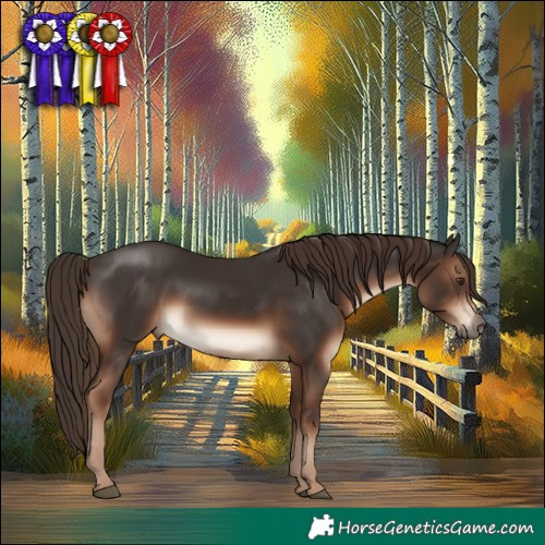 Horse Color:White Spotted Liver Chestnut 