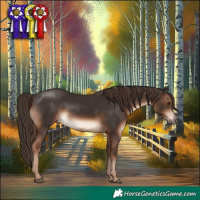 Horse Color:White Spotted Liver Chestnut 