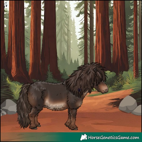 Horse Color:White Spotted Liver Chestnut 