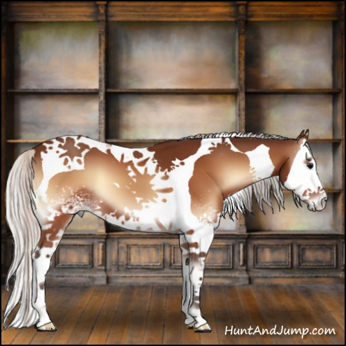 Horse Color:White Spotted Silver Bay Onyx Splash Tobiano 